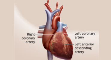 All You Wanted To Know About “Beating Heart” Bypass Operation!